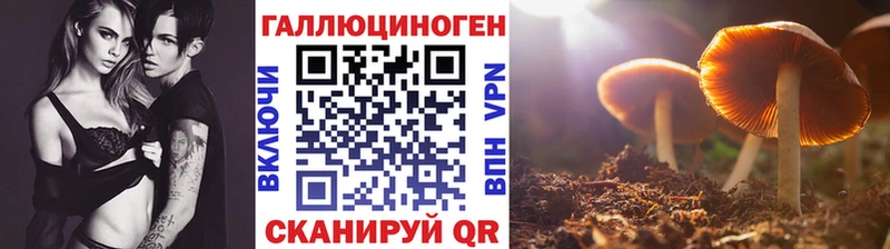 Галлюциногенные грибы ЛСД  Купить  Новоалтайск 